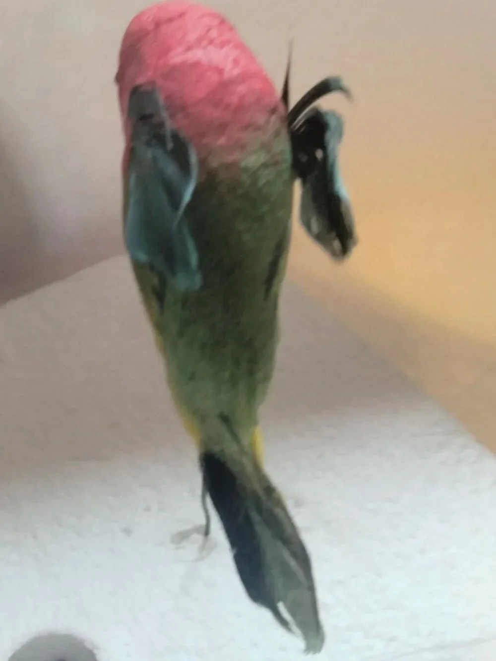 Colorful Decorative Feathered Bird Hummingbird Figurine Wire Floral Crafts Lot 2